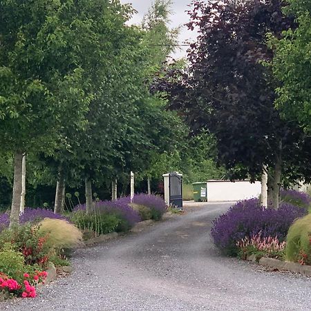 Swallow'S Rest Garden Apartment Ashbourne Exterior foto