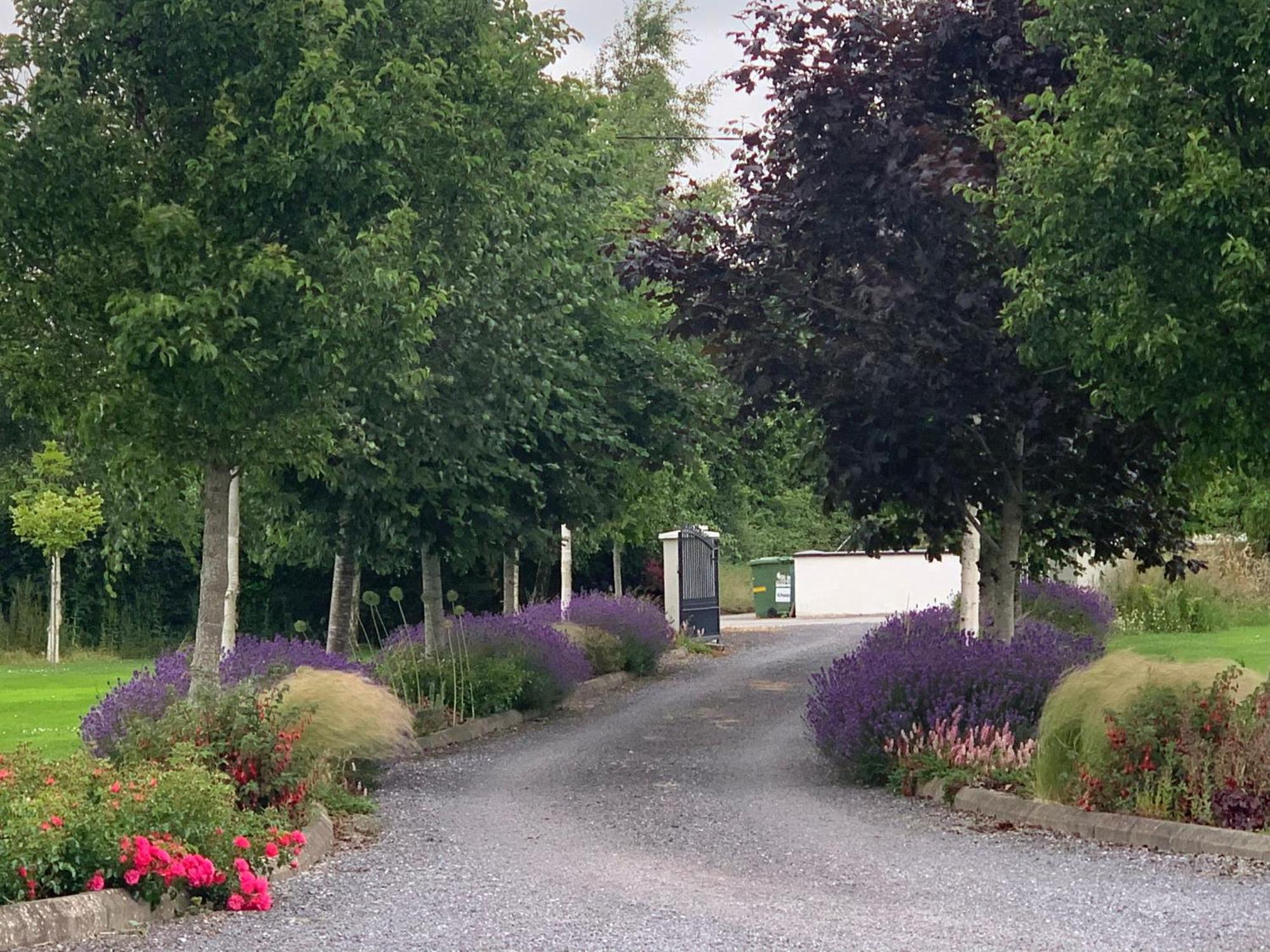 Swallow'S Rest Garden Apartment Ashbourne Exterior foto